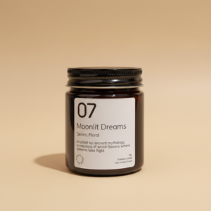 07 Moonlit Dreams